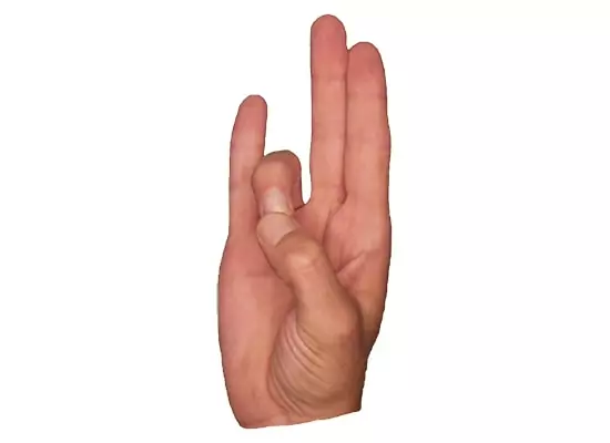 Prithvi Mudra