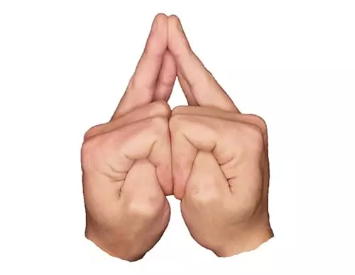 Shakti Mudra