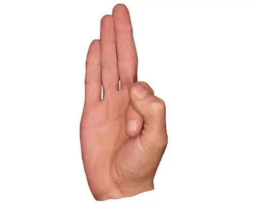 Vayu Mudra