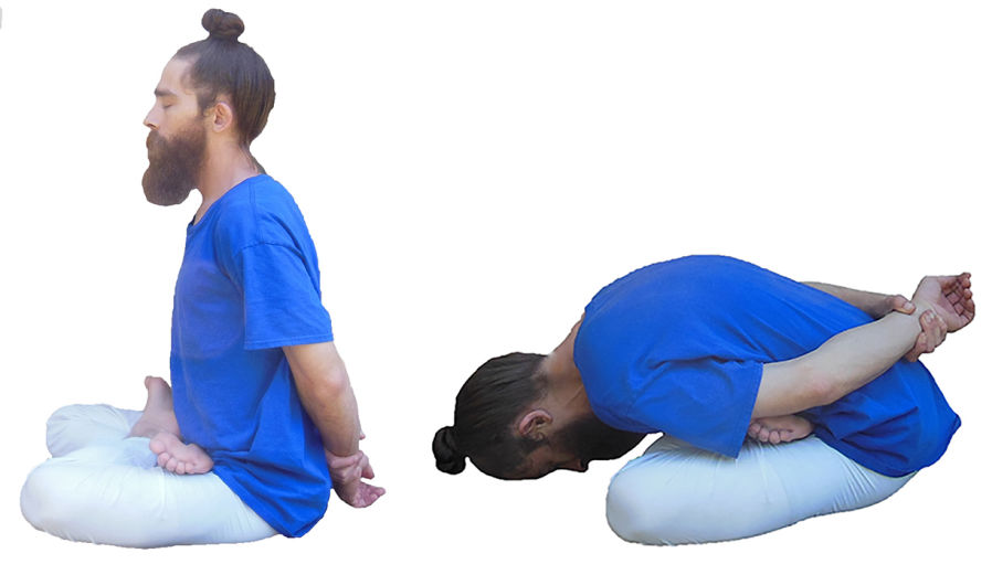 Yoga Mudra